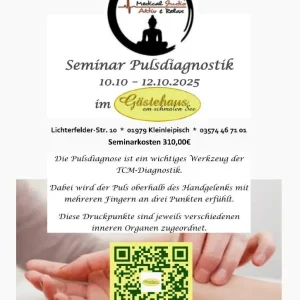 Seminar Pulsdiagnostik